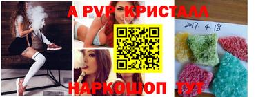 шишки Обь