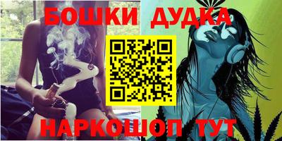 шишки Обь