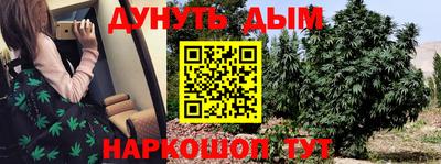 шишки Обь