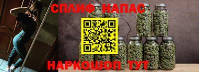 шишки Обь