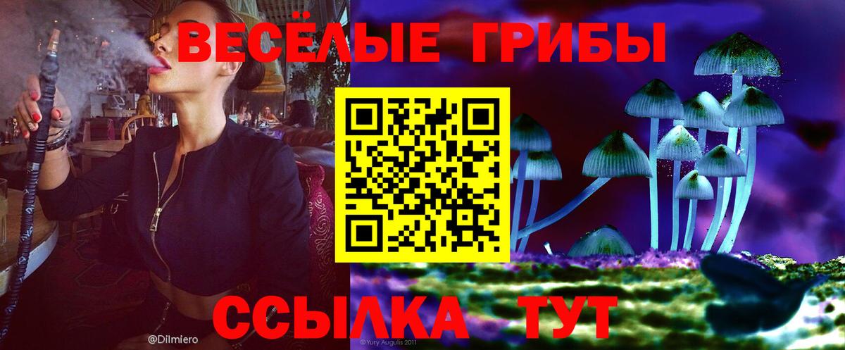 Галлюциногенные грибы GOLDEN TEACHER Сыктывкар